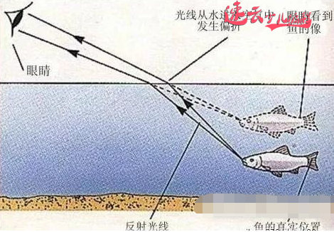 物理“光的折射”看编程如何解题「济南机器人编程_山东机器人编程_济南少儿编程」(图9)