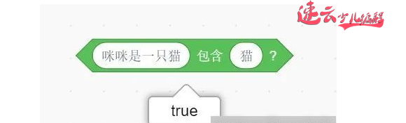 山东少儿编程：云老师带领孩子学数学就像玩游戏之算术大玩家！~济南少儿编程~少儿编程(图9)